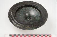 Foto von Bronzephalere (NHMW-PRAE-025107)